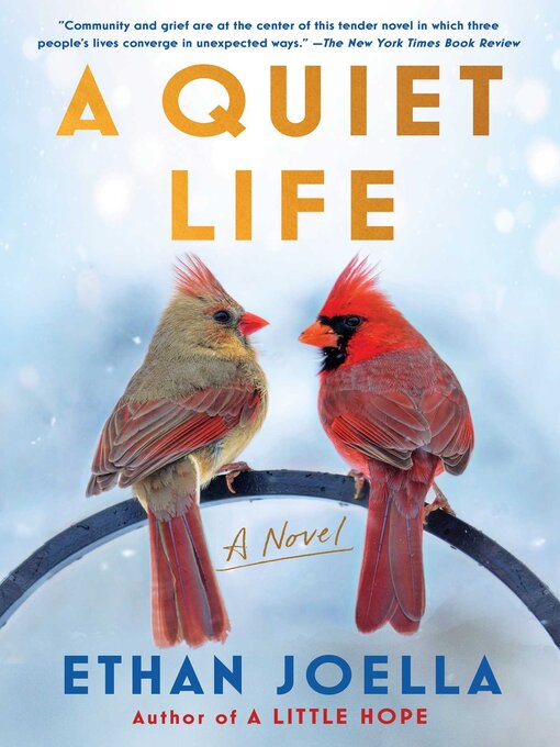 Title details for A Quiet Life: a Novel by Ethan Joella - Wait list